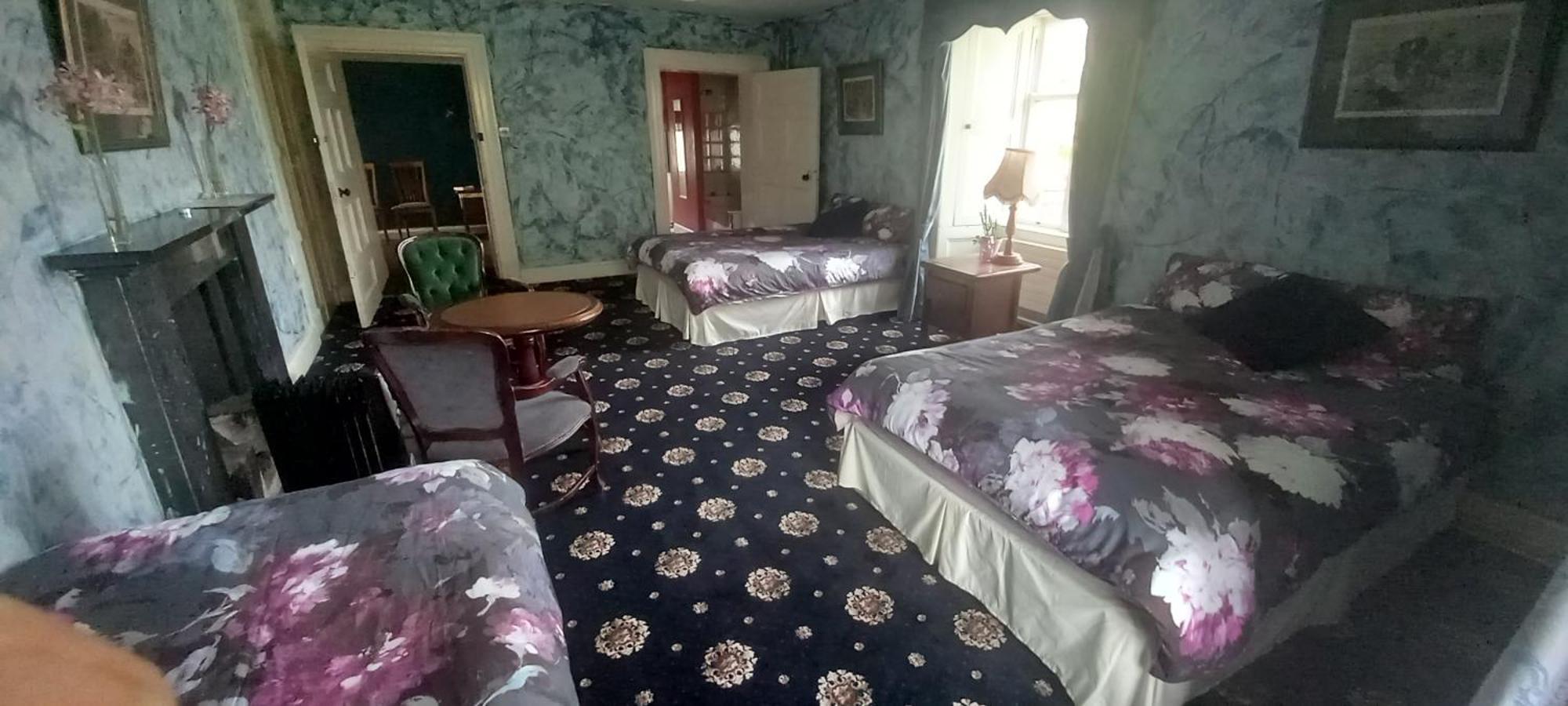 Cregg Castle Guest House กัลเวย์ ภายนอก รูปภาพ